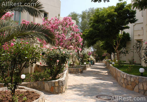 Guler Resort 2